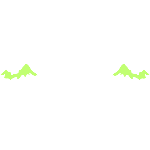 The Brave Explorer